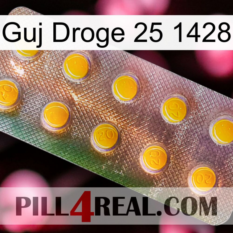 Guj Drug 25 1428 new11